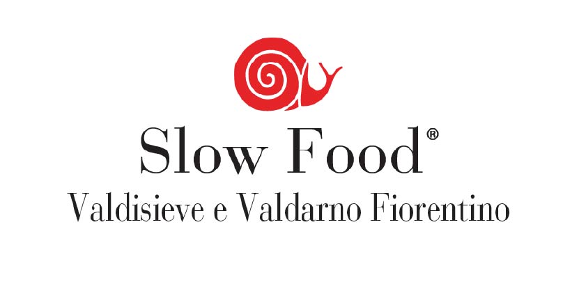 Tavola disegno 22-50