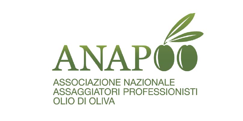 Tavola disegno 24-50