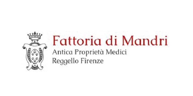 Tavola disegno 6 copia-50